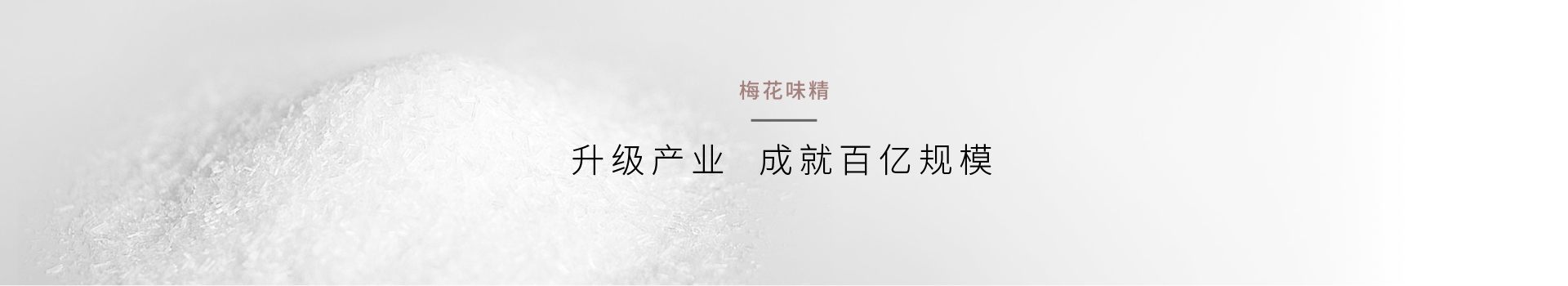 企业品牌升级_品牌形象升级公司_刘路明策划-上海HJC黄金城集团官网